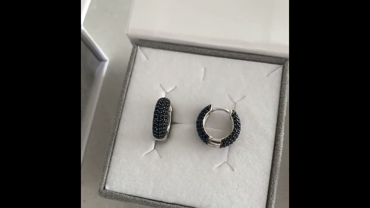 Sidabrinės rinkutės | Silver hoops