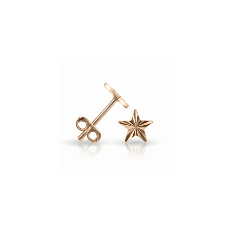 Minimalistiniai auksiniai adatiniai graviruoti auskarai žvaiždutės
