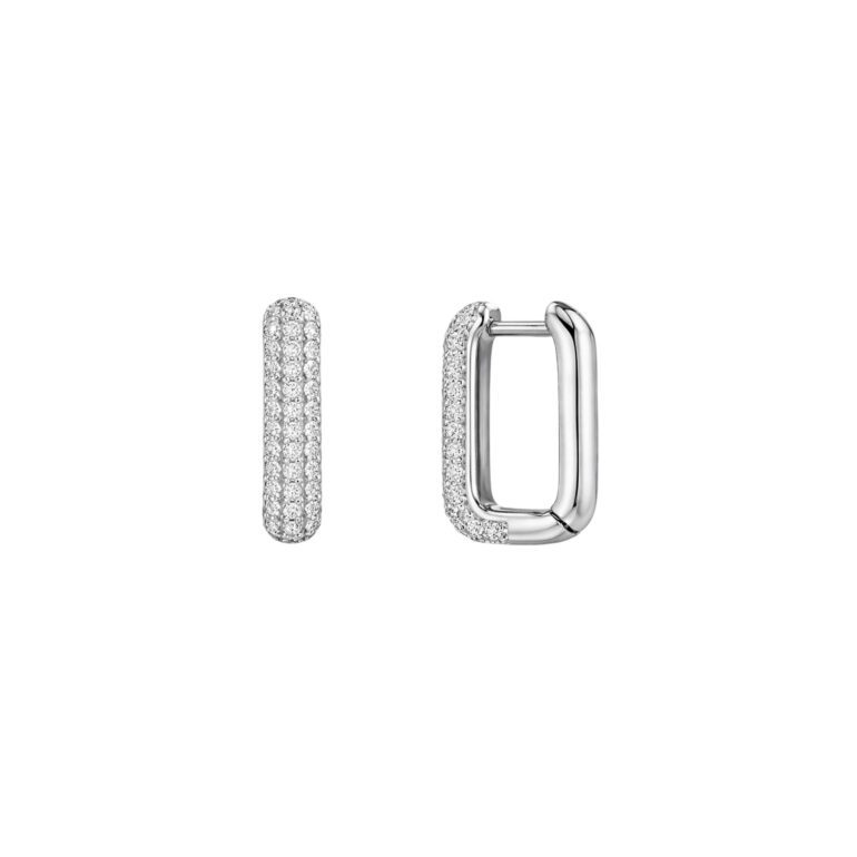 Sidabriniai Auskarai Su Cirkoniais