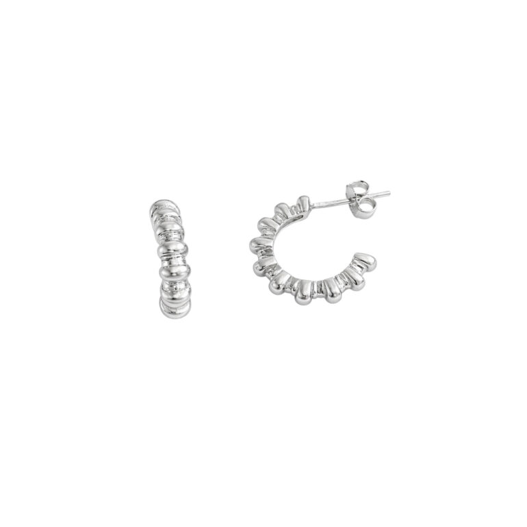 Sidabriniai Auskarai