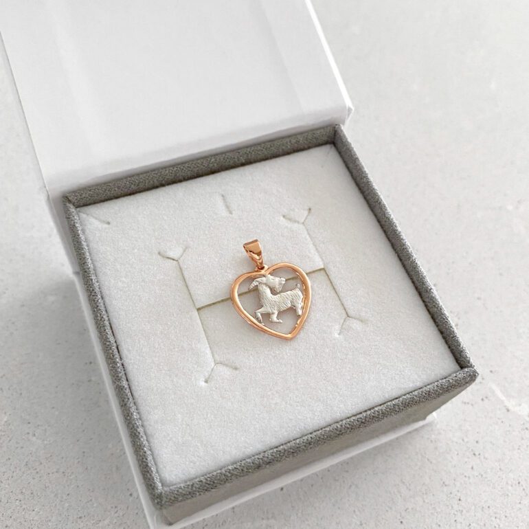 Auksinis Pakabukas - Zodiako Ženklas Ožiaragis