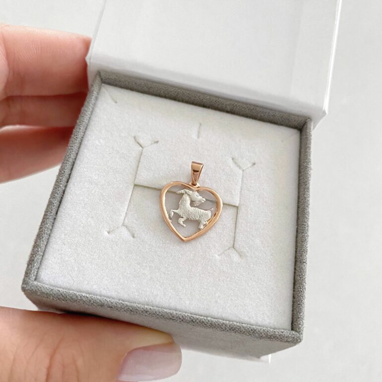 Auksinis Pakabukas - Zodiako Ženklas Ožiaragis