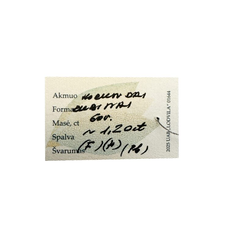 Sidabriniai Auskarai Su Rubinais